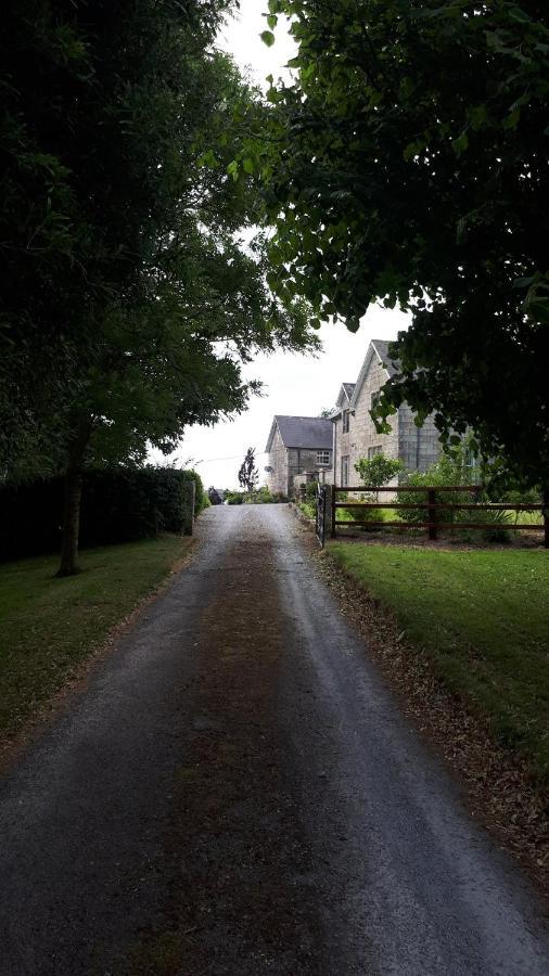 Lorum Old Rectory Bagenalstown Экстерьер фото