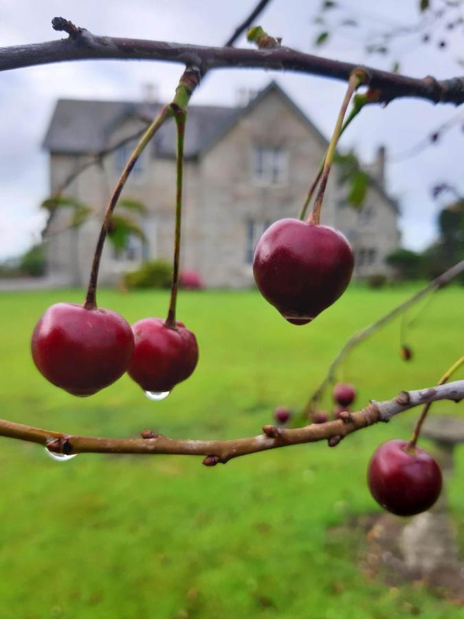 Lorum Old Rectory Bagenalstown Экстерьер фото