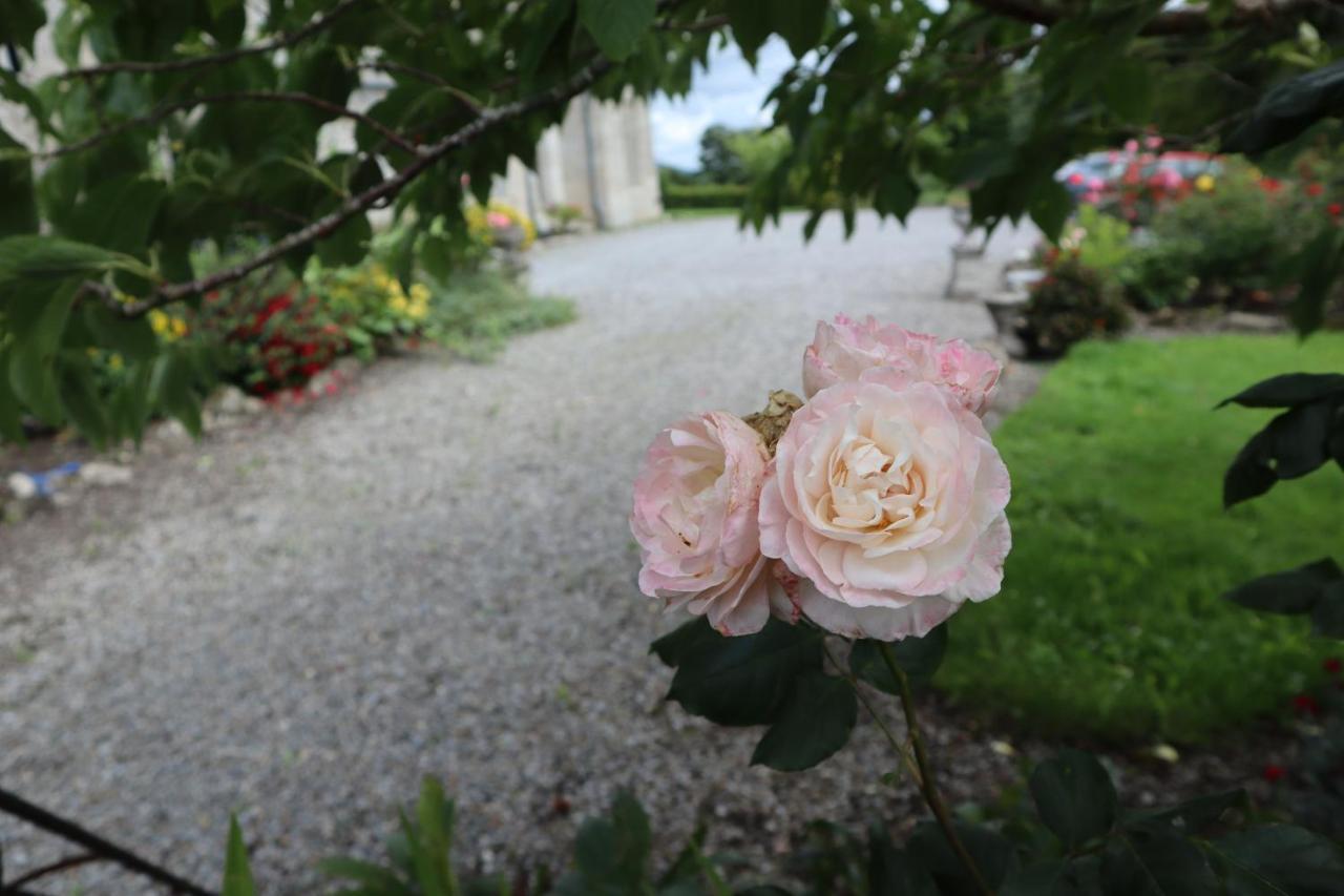 Lorum Old Rectory Bagenalstown Экстерьер фото
